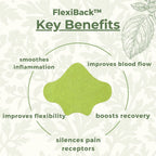 FlexiBack™ — Natural Back Pain Relief Patches