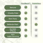 FlexiBack™ — Natural Back Pain Relief Patches