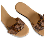 Kastos || Snake