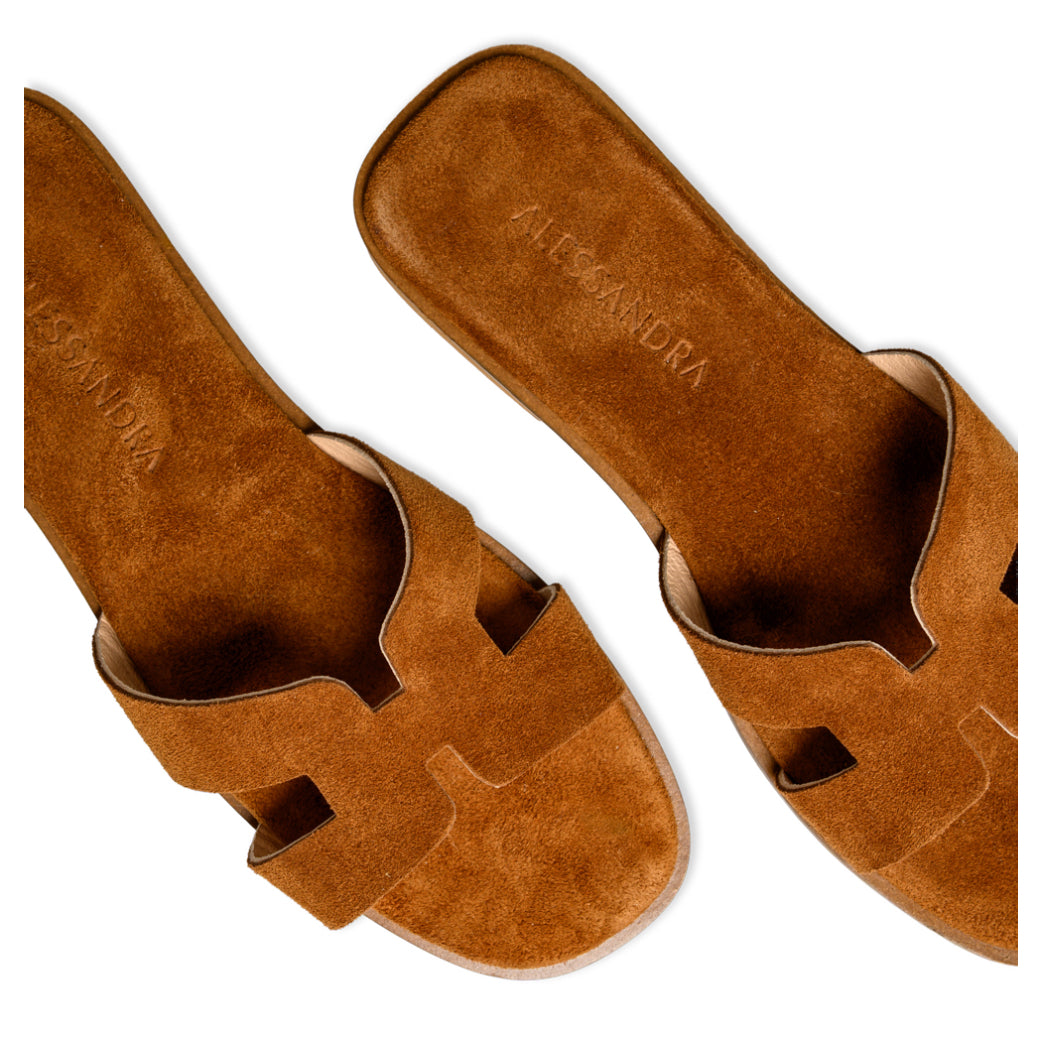 Melia || Camel