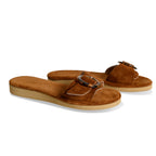 Kastos || Camel