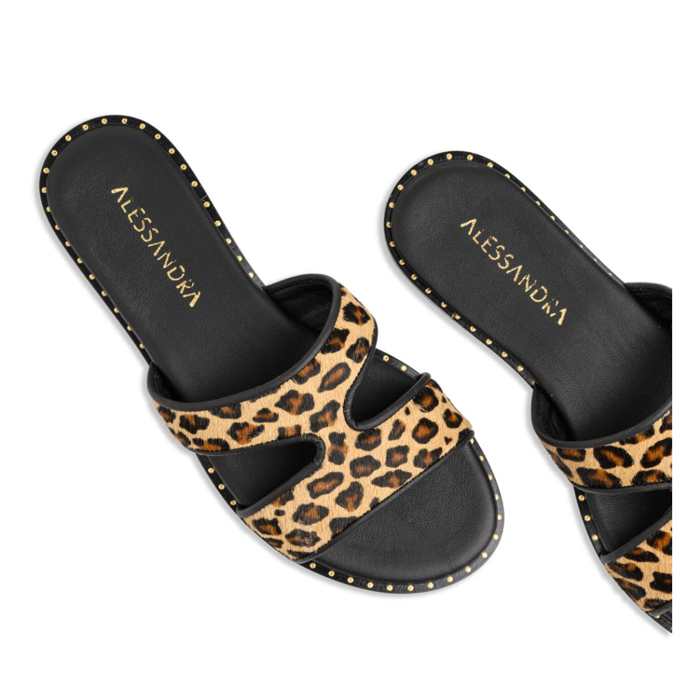 Lia || Leopard