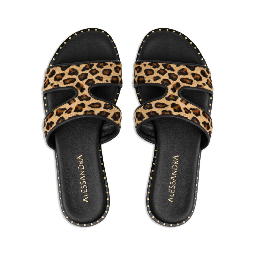Lia || Leopard