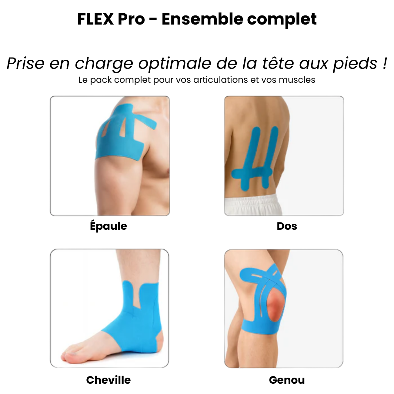 FLEX Pro - Bandes pour l'ensemble du corps