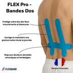 FLEX Pro - Bandes pour le dos