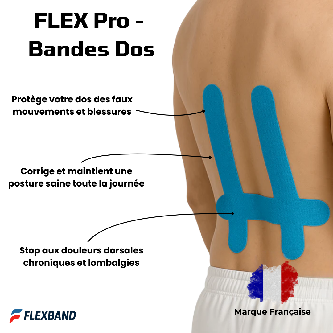 FLEX Pro - Bandes pour le dos